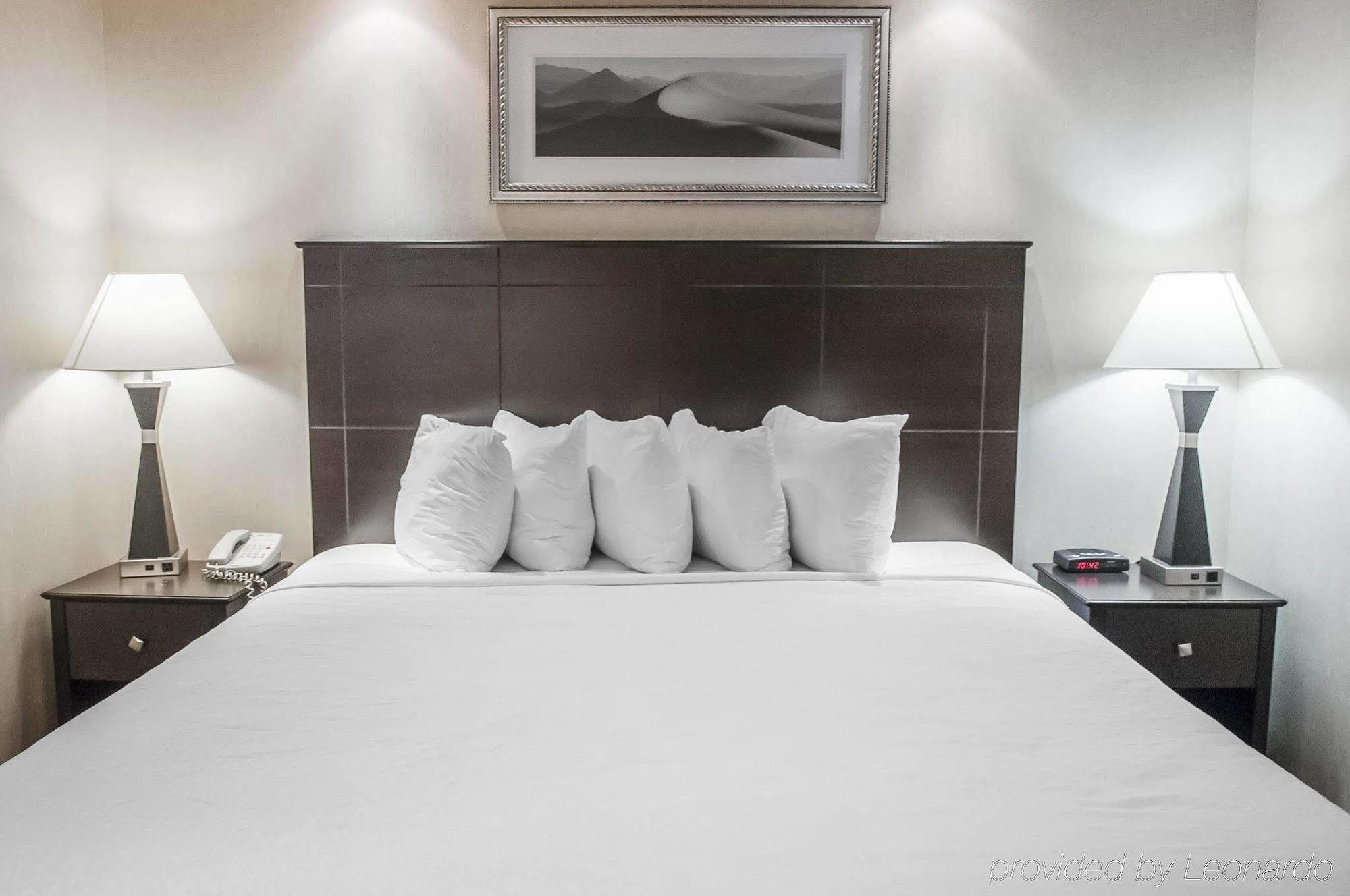 Econo Lodge Inn&Suites Downtown Toronto Zewnętrze zdjęcie